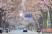 鹰潭共建“花园城市” 北京这场议政会“百花齐放”