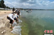 鹰潭云南江川举行增殖放流活动 逾54万尾鱼游入星云湖